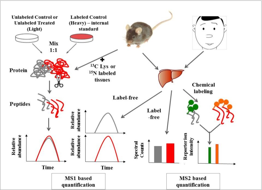 Journal Of Proteomics And Genomics Research-mass spectrometry-based quantitative proteomics