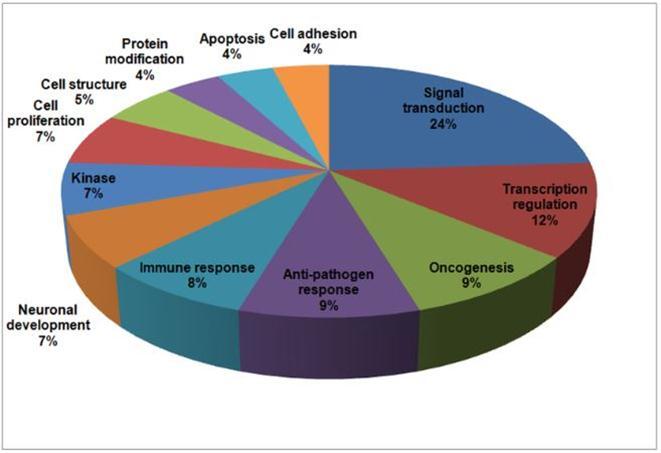 Journal of Proteomics and Genomics Research-FIP-2 (optineurin)