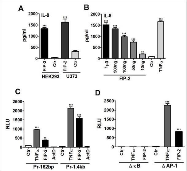 Journal of Proteomics and Genomics Research-FIP-2 (optineurin)