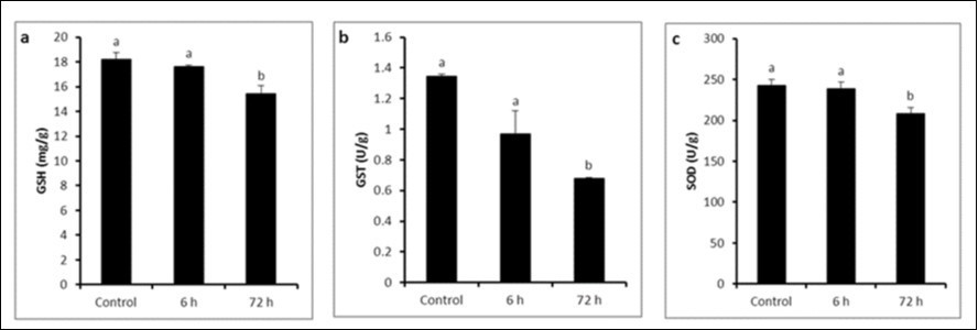 Journal of Veterinary Healthcare-Lipopolysaccharide