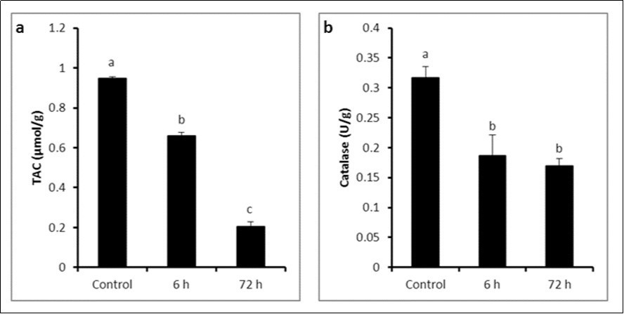 Journal of Veterinary Healthcare-Lipopolysaccharide