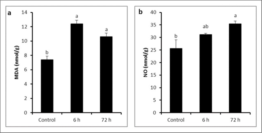 Journal of Veterinary Healthcare-Lipopolysaccharide