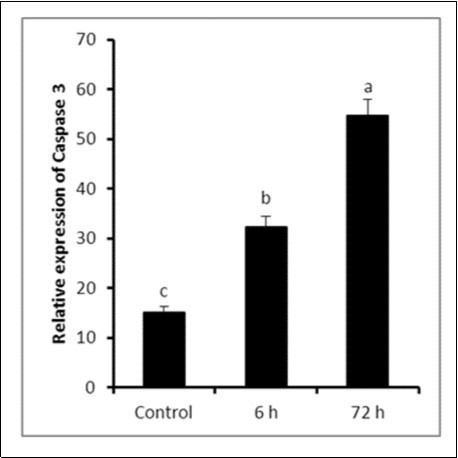Journal of Veterinary Healthcare-Lipopolysaccharide