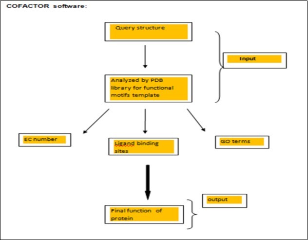 Journal Of Proteomics And Genomics Research-Current bioinformatics status