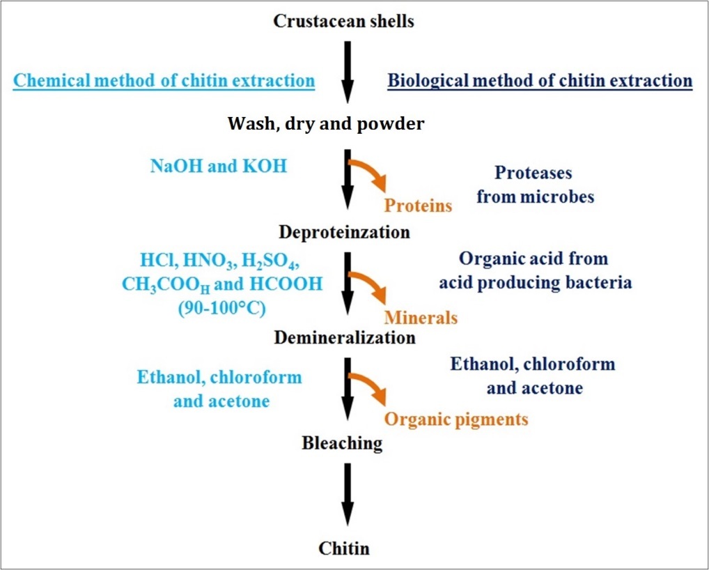 Journal of Enzymes-Chitinase