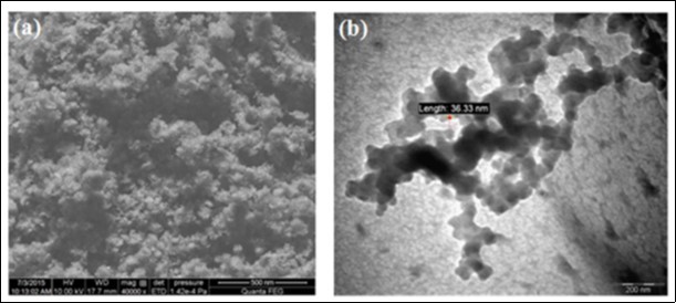 Journal of Enzymes-Chitinase