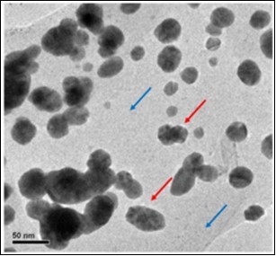 Journal of Enzymes-Chitinase