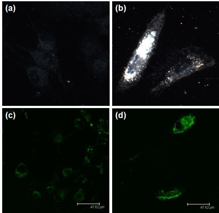 Journal of Advanced Pharmaceutical Science And Technology -Dopamine- and cAMP-regulated neuronal phosphoprotein (DARPP-32)