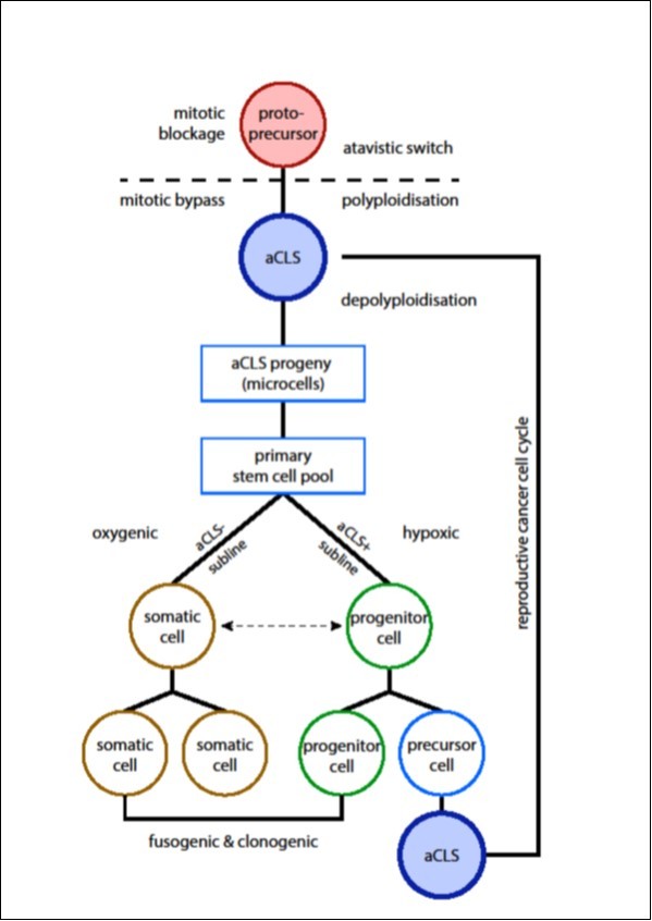 Journal of Cancer Genetics And Biomarkers-atavistic theory