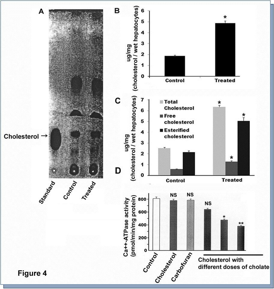 Journal of Proteomics and Genomics Research-Carbofuran