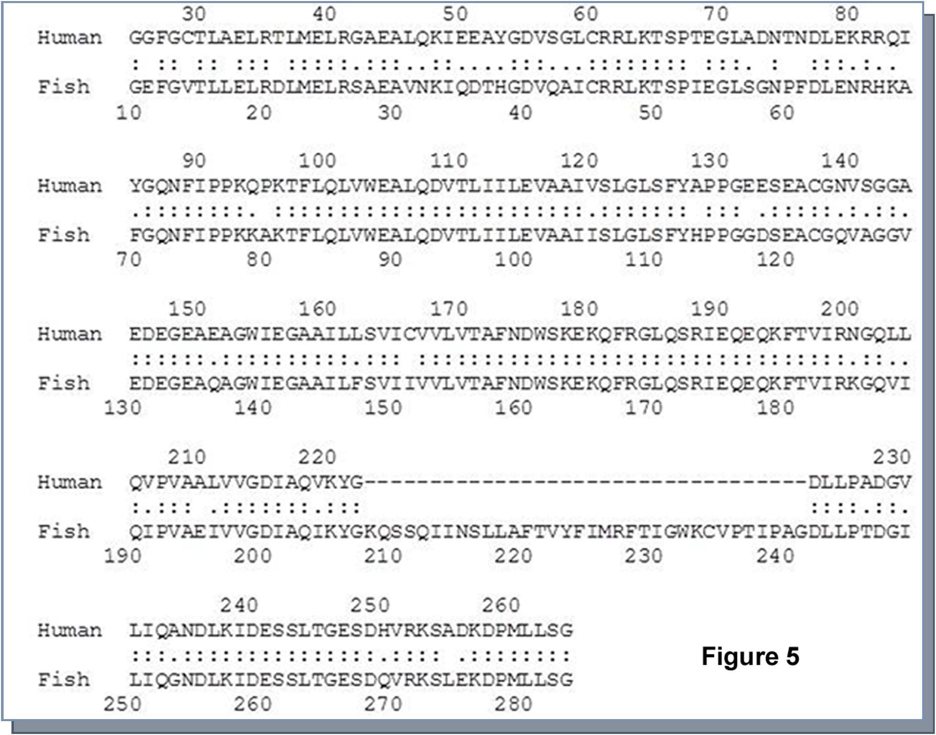 Journal of Proteomics and Genomics Research-Carbofuran
