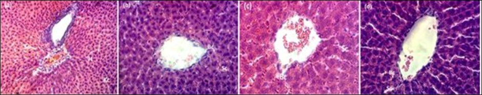 Journal of Advanced Pharmaceutical Science And Technology -Harungana madagascariensis