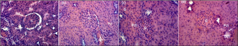 Journal of Advanced Pharmaceutical Science And Technology -Harungana madagascariensis