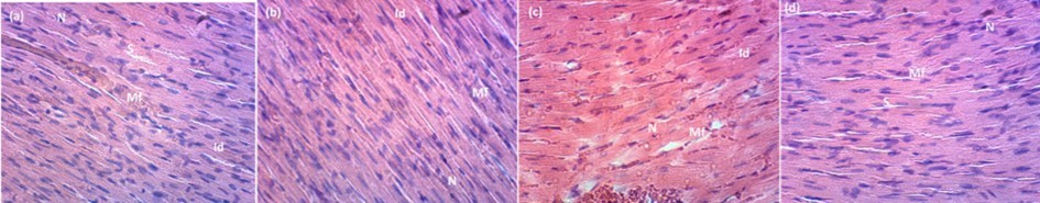 Journal of Advanced Pharmaceutical Science And Technology -Harungana madagascariensis
