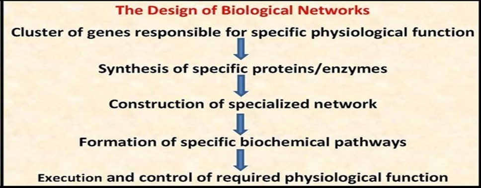Journal Of Proteomics And Genomics Research-Biological networks