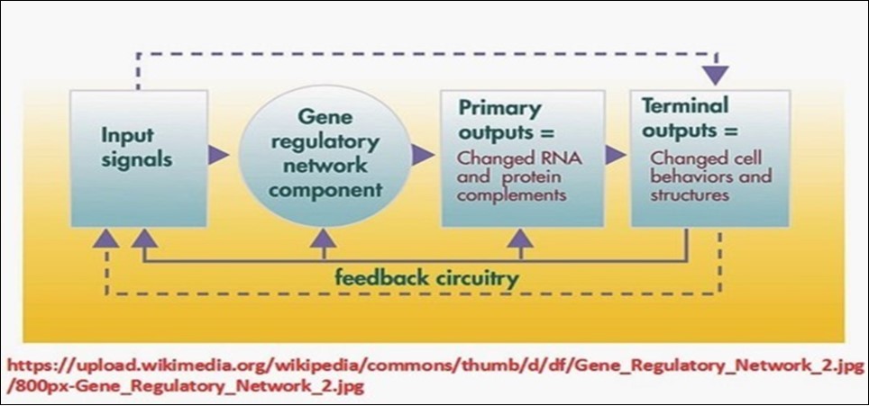 Journal Of Proteomics And Genomics Research-Biological networks