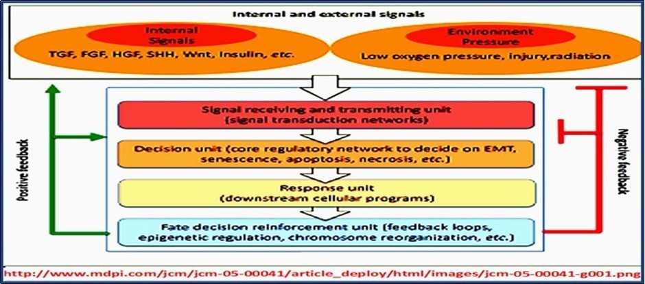 Journal Of Proteomics And Genomics Research-Biological networks