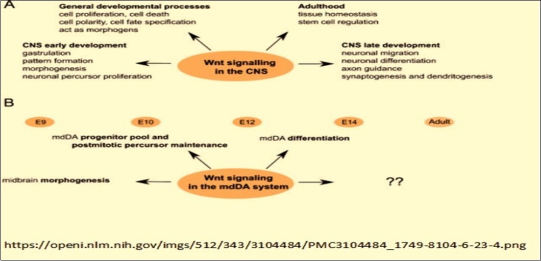 Journal Of Proteomics And Genomics Research-Biological networks