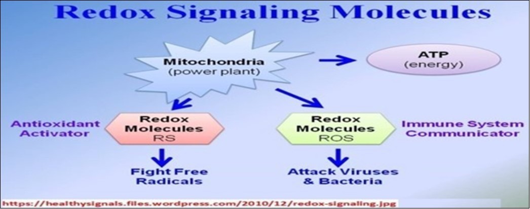 Journal Of Proteomics And Genomics Research-Biological networks