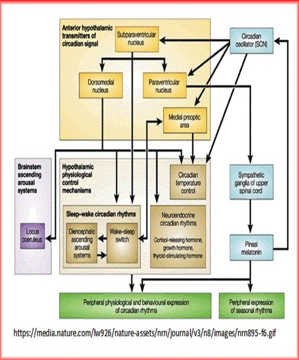 Journal Of Proteomics And Genomics Research-Biological networks