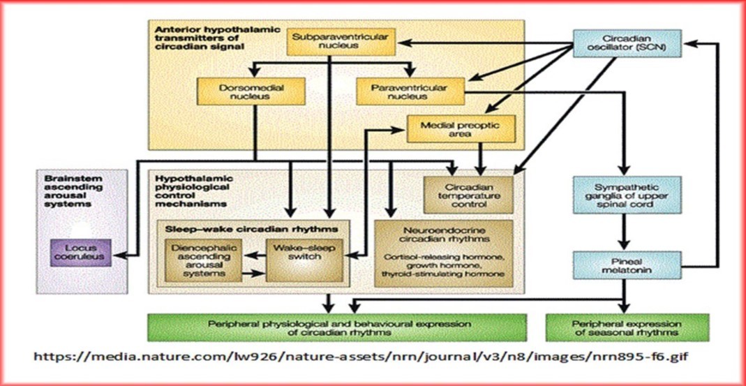 Journal Of Proteomics And Genomics Research-Biological networks