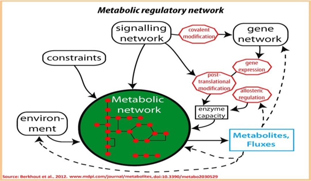 Journal Of Proteomics And Genomics Research-Biological networks