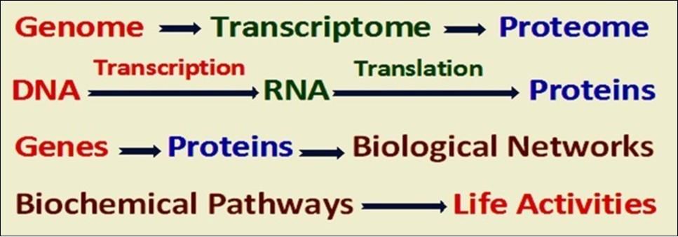 Journal Of Proteomics And Genomics Research-Biological networks