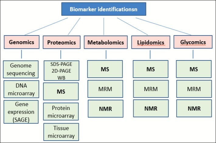 Journal Of Proteomics And Genomics Research-biomarkers