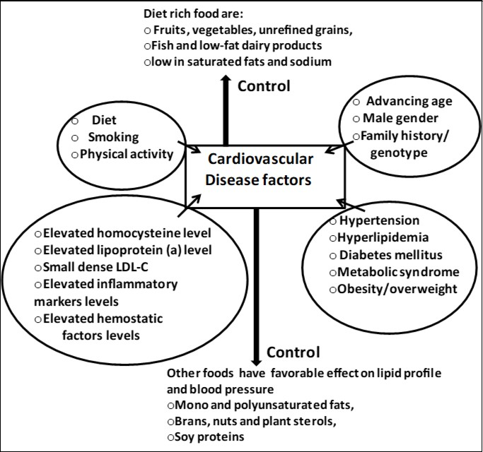 Journal of Biotechnology and Biomedical Science-Lifestyle