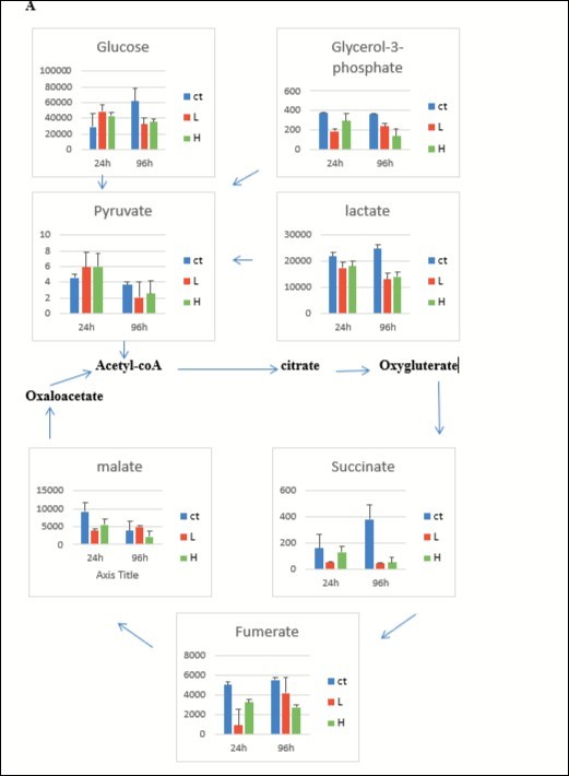 Journal of Veterinary Healthcare-Amino acids