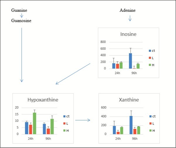 Journal of Veterinary Healthcare-Amino acids