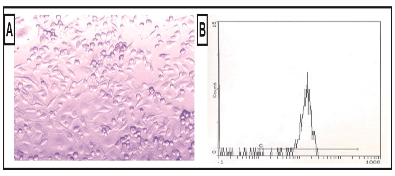 Intestinal Injury