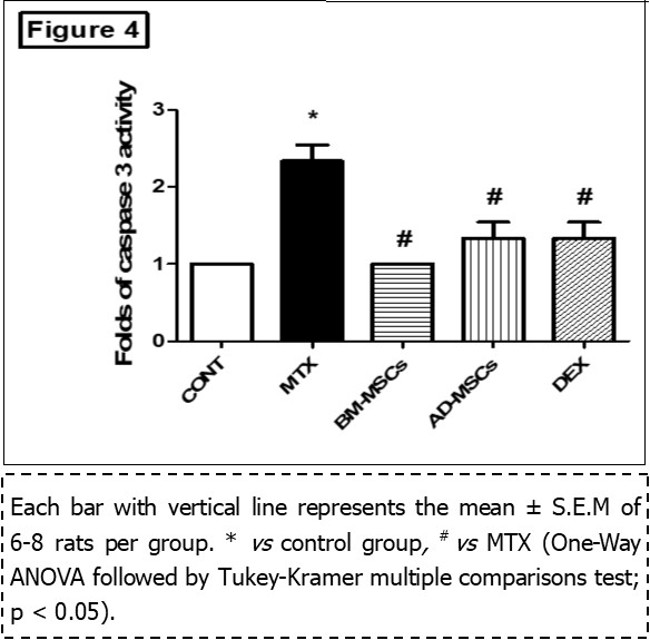 Intestinal Injury