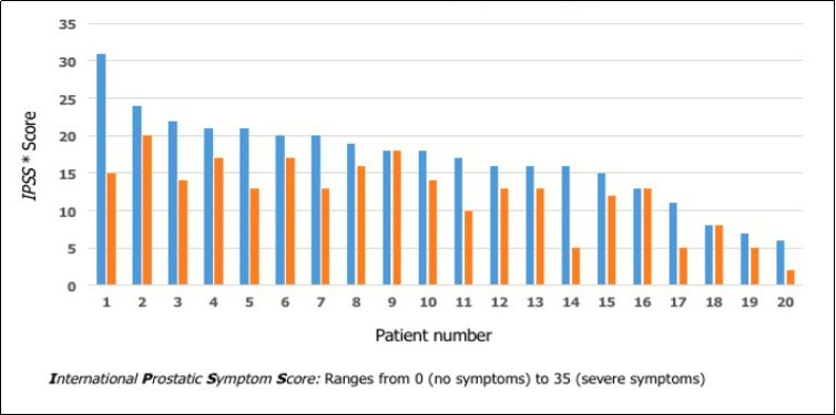 International Journal of Nutrition-Benign Prostatic Hyperplasia