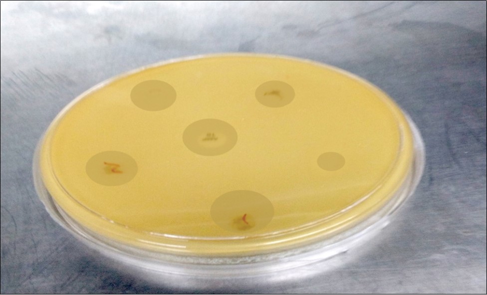Journal of Advanced Pharmaceutical Science And Technology -Copper (II) Soap
