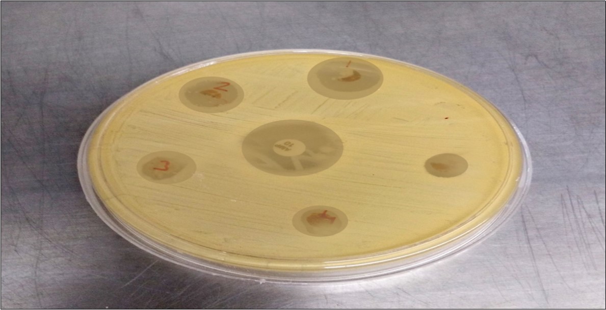 Journal of Advanced Pharmaceutical Science And Technology -Copper (II) Soap
