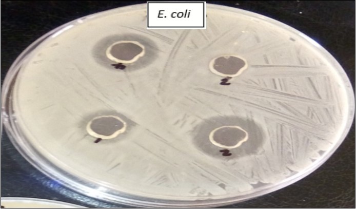 Journal of Advanced Pharmaceutical Science and Technology-Antimicrobials