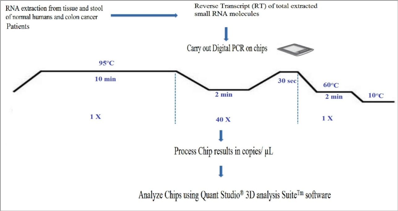 Journal of Colon And Rectal Cancer-chips