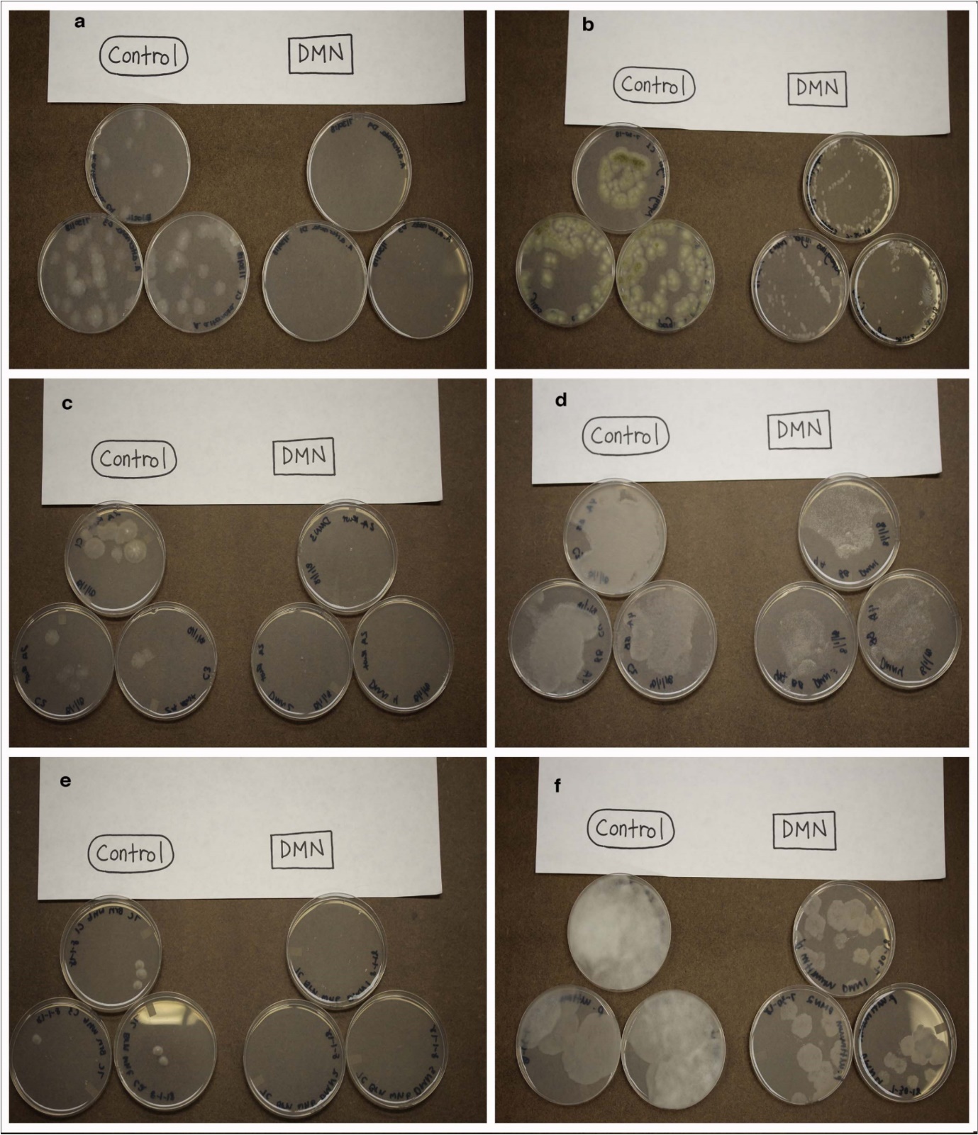 Journal of Agronomy Research-1