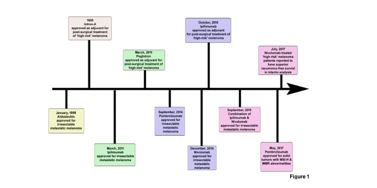 Article: Blockade of Programmed Cell Death Protein-1 Pathway for the Treatment of Melanoma 