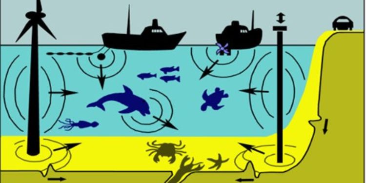 Article: The Adverse Effects of Underwater Sound upon Fishes and Invertebrates