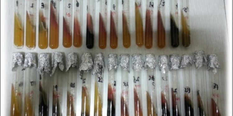 Article: Morpho-biochemical Identification and Antimicrobial Susceptibility Testing of Bacterial Isolates from Chicken Eggs in District Faisalabad