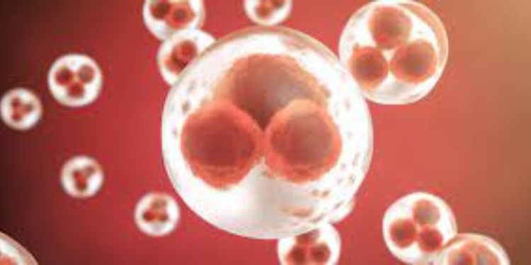 Article: D Allele and DD Genotype of  I /D Polymorphism in The ACE Gene in Patients with Hypertension, Stroke And Cancer Prostate In Libreville: A Concern Given The High Frequencies of these Signatures in Gabonese Population