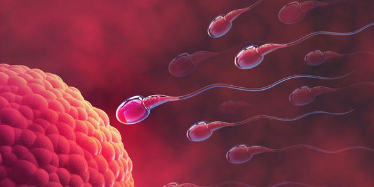 Article: Association of Gestational Diabetes and Proinflammatory Cytokines (IL-6, TNF-α and IL-1β)