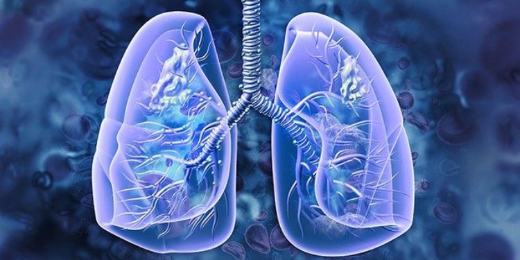 Article: Challenger Treatment of Various Cancers with T Cells Engineering