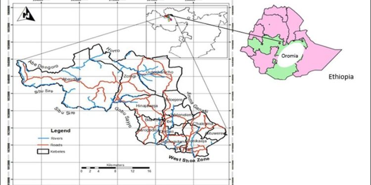Article: Helminth parasites prevalence and distribution among Sheep in Gudaya Bila District, East Wallaga, Ethiopia
