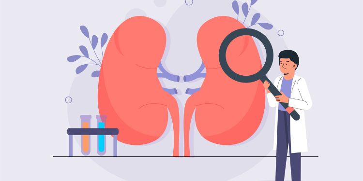Article: Primary Membranous Nephropathy Flare After COVID-19 Vaccination