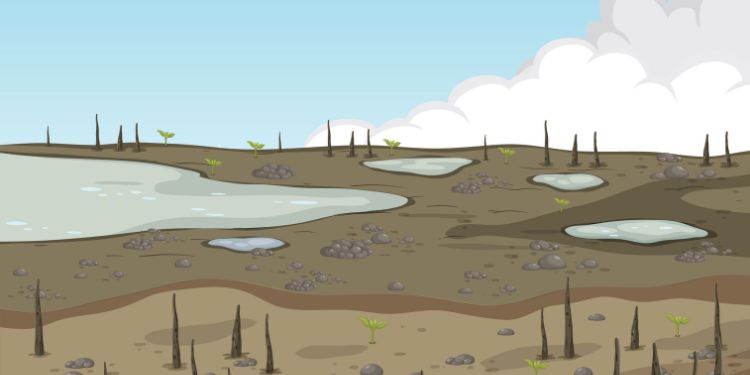 Article: Impact of Agricultural Land Use Practices on Water Quality in Lubigi Wetland