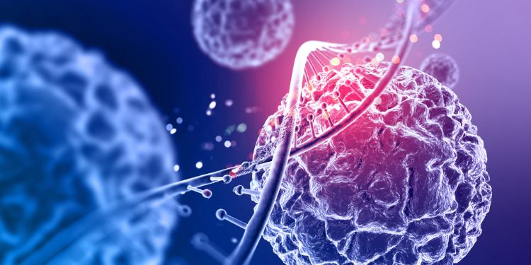 Article: Retraction Note: Leap into Fetal Surgery; In Utero Placental Mesenchymal Stem Cell Therapy, A Contemporary Approach to Treating Myelomeningocele