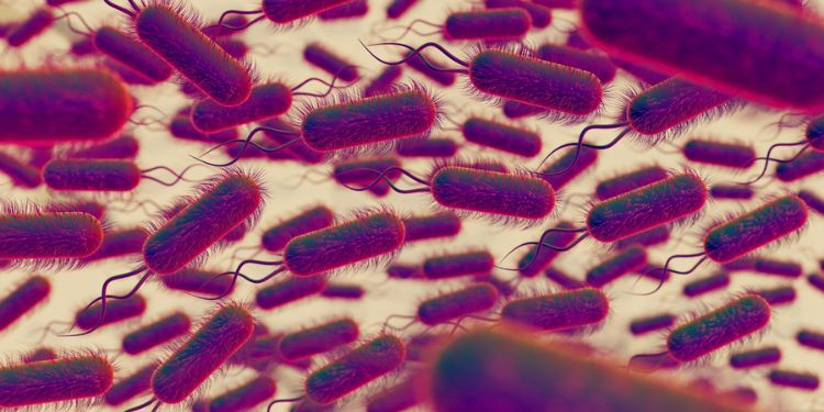 Article: Prevalence and Risk Factors of Intestinal Parasitic Helminths among Primary School Children in Oru West Lga, Imo State, Nigeria